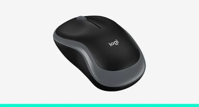 COMPACT MOUSE