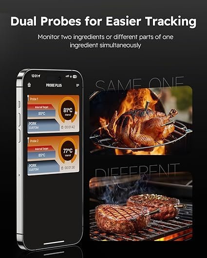 Dual Probes for precise grilling and cooking temperature control.