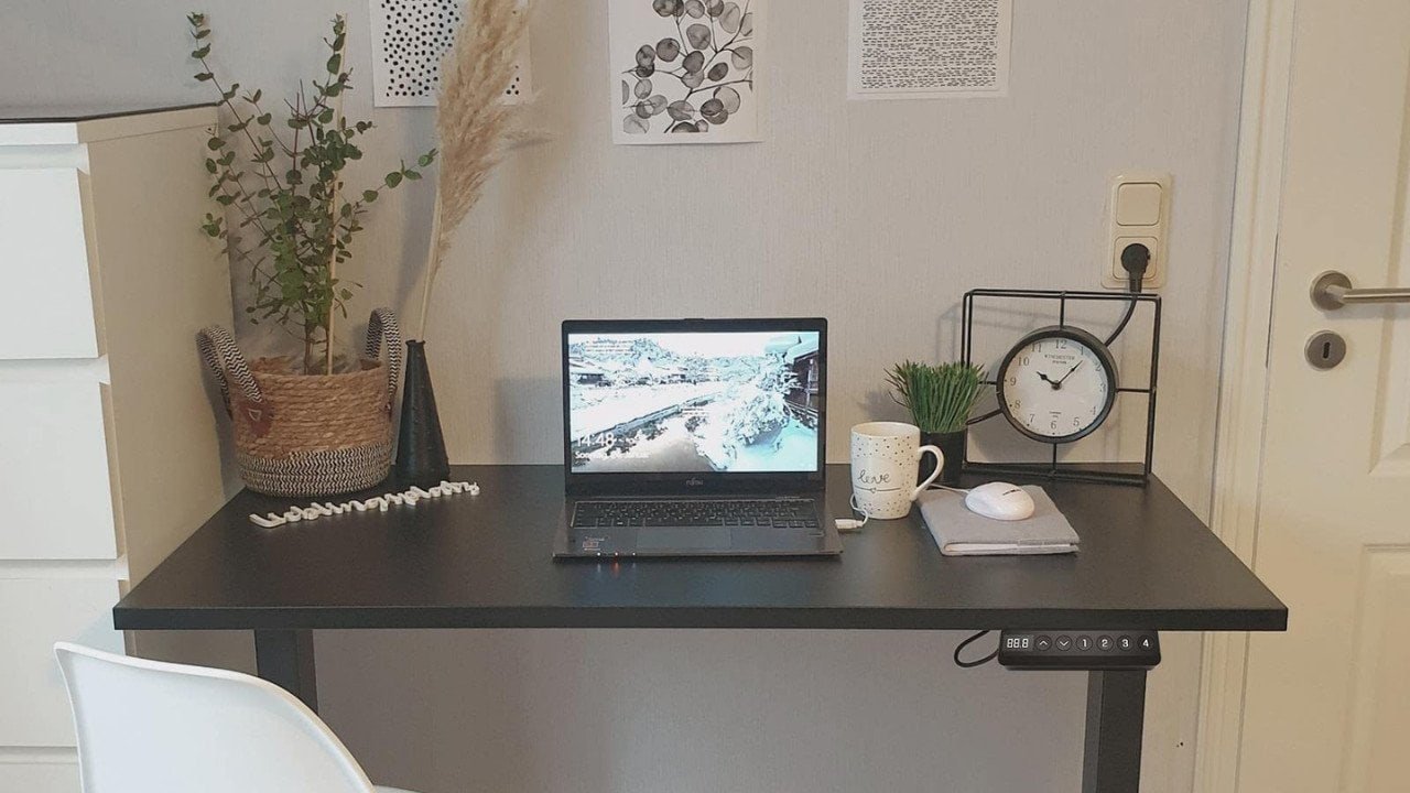 FlexiSpot E5 dual-motor standing desk under $400 for American home offices in 2026
